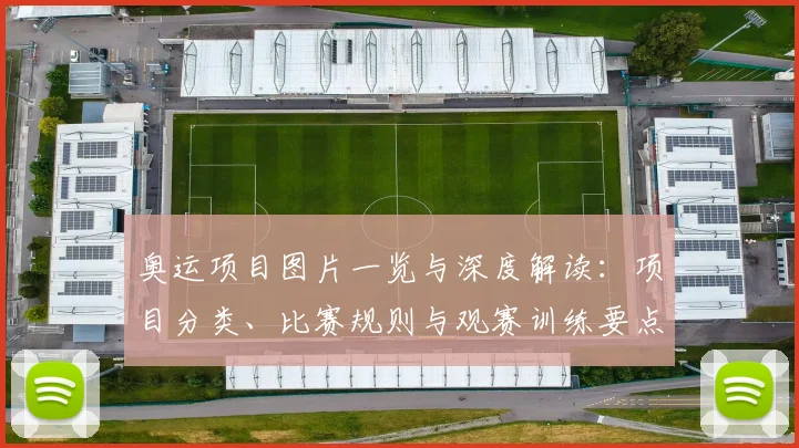 奥运项目图片一览与深度解读:项目分类、比赛规则与观赛训练要点